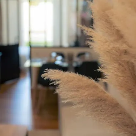 Splendidet2 Centre & Terrasse Exterieure 아파트